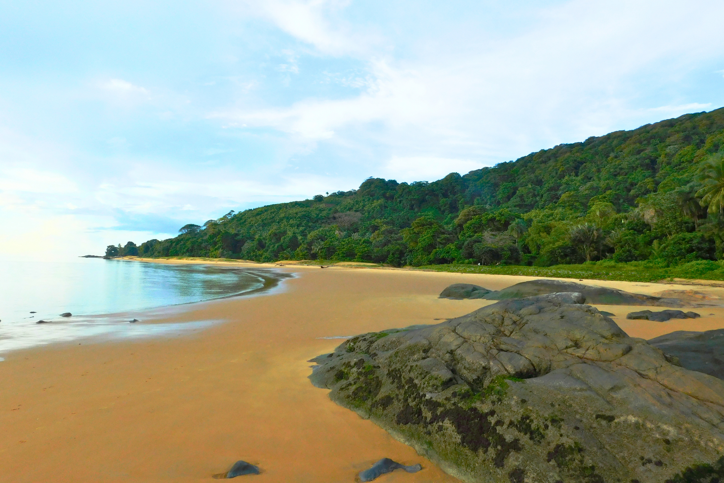 rémire island.webp
